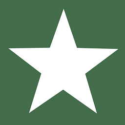platinum-swiss.ch Logo