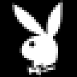 Playboy.de Logo