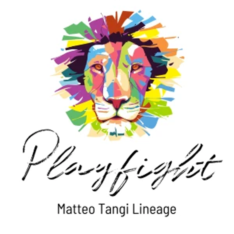 Playfight Logo