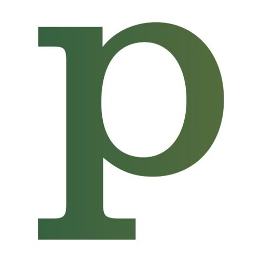 Pleyma GmbH Unternehmensberatung Logo