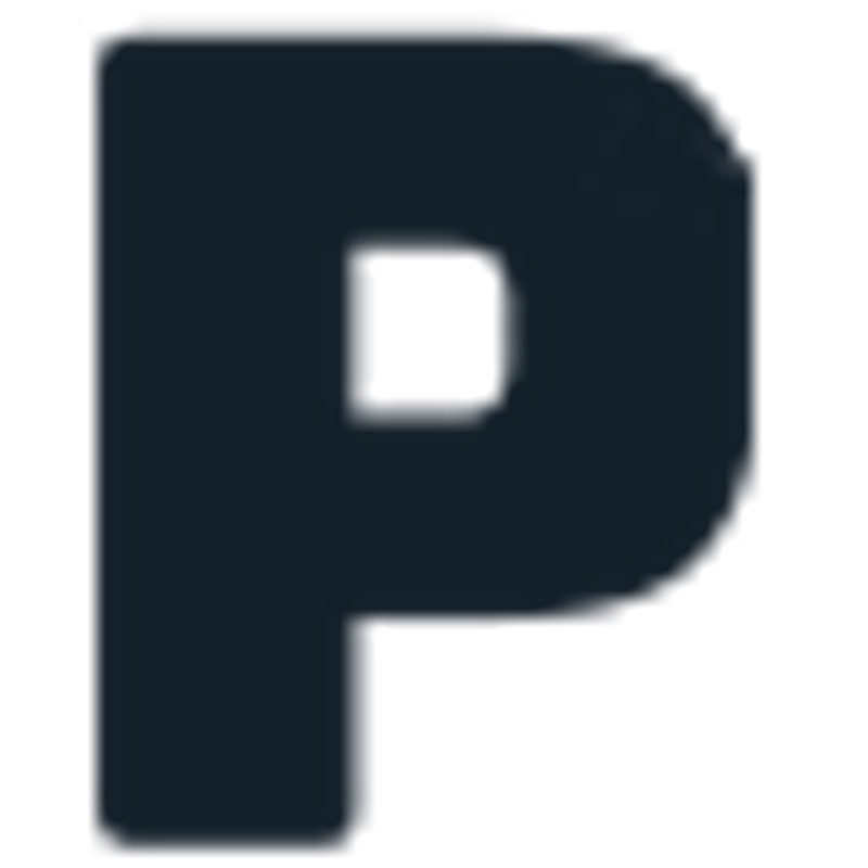 Poljot24 Logo