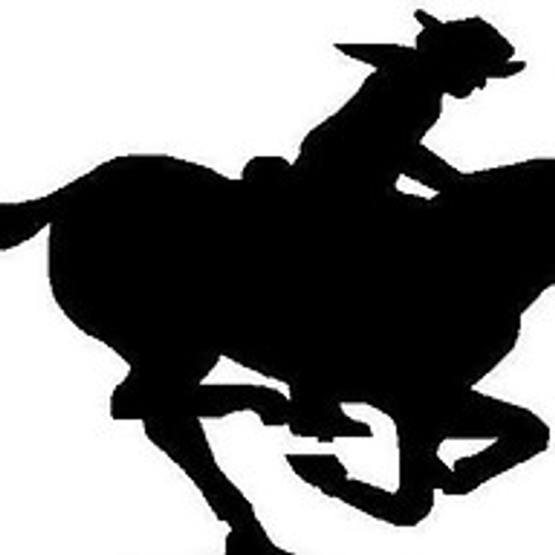 PONY-EXPRESS Spediteur Hollinger Logo