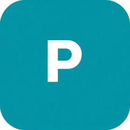 Praeclin Consult Logo