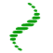 Brucker Judith Logo