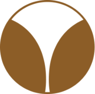Dr. Diana Teubner Logo