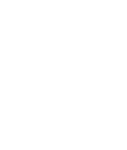 praxis - institut für systemische beratung Institut Süd oHG Logo