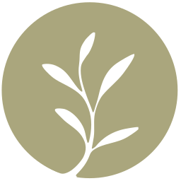 Karina Schmidt Logo