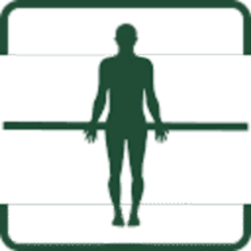 Preventas Logo