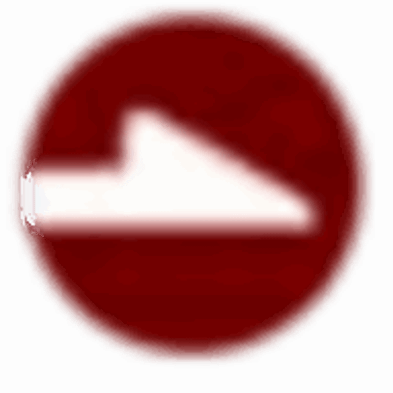 PRIMECHECK Logo