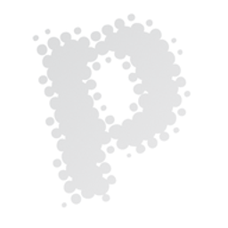 printline Flensburg GmbH Digitaldruck Logo