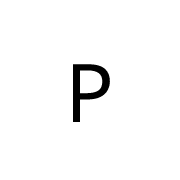 Privacy Nest Logo