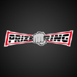 PRIZE RING Kampfsportschule Logo