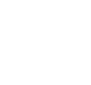 Products and More GmbH Logo