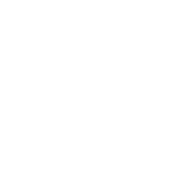 Proxysto Logo