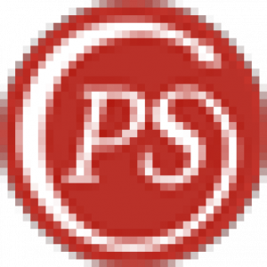 PS Consulting GMBH Logo