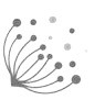 Puhl Jennifer Dipl.-Psych. Psychologische Psychotherapeutin Logo