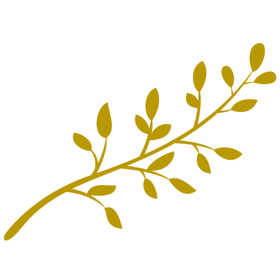 Rauer Andrea Heilpraktikerin Logo