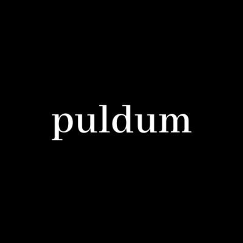 puldum Logo