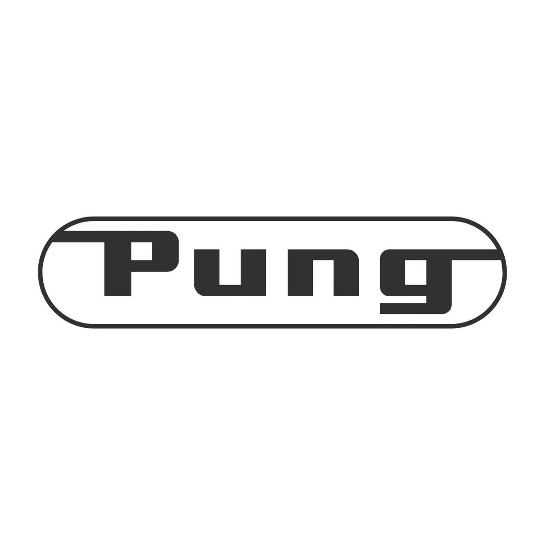Pung Steinwerk Logo