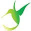 PURA VIDA TRAVEL Logo