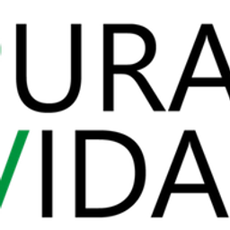 PuraVidaPV GmbH Logo