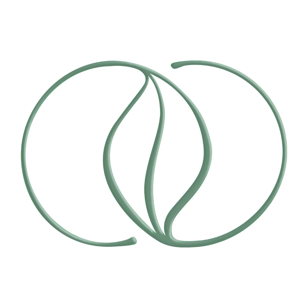 purvidual.de Logo