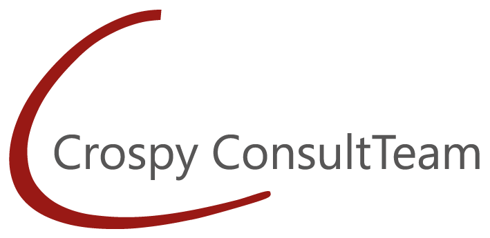 Pylen ConsultTeam Sylvia Logo