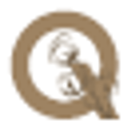 Qizicha Logo