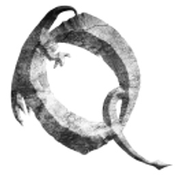 Questde Logo