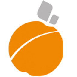 DCR Dr.Lindstrom Kai-Patrick Logo