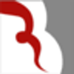 RB-Shooting Logo