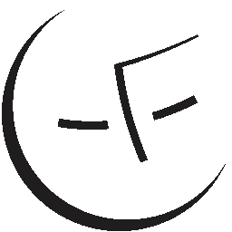 Facereading Academy by Eric Standop Logo