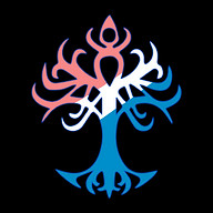Pymander | RealProsthesis Logo