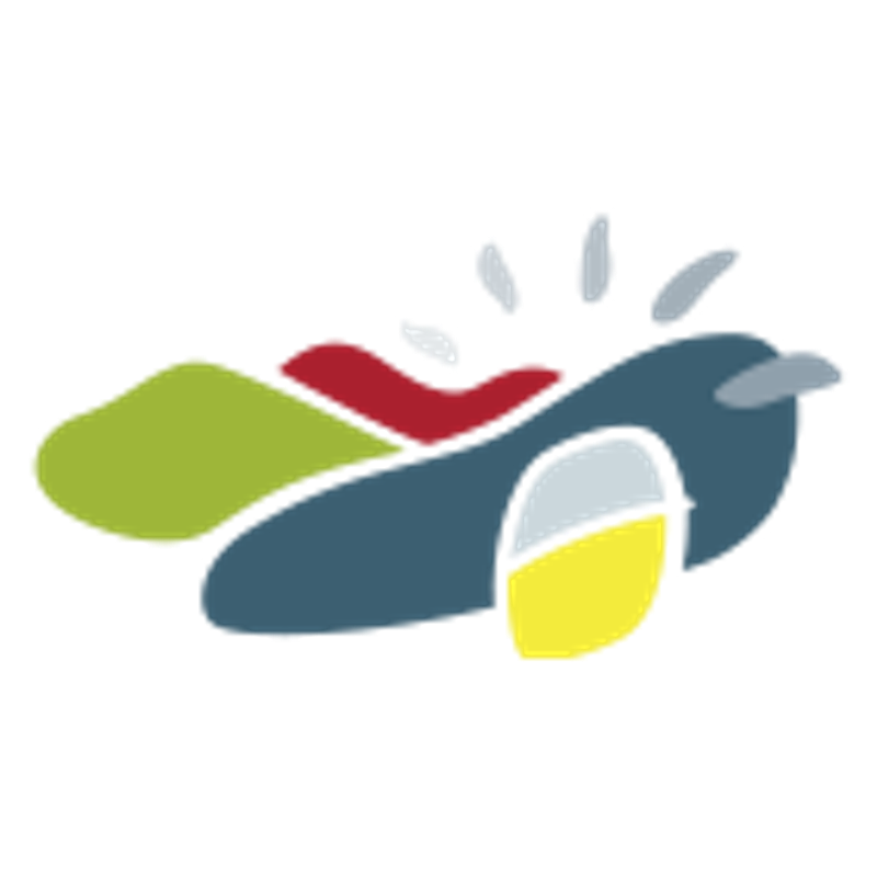 Luftseilbahn Reigoldswil-Wasserfallen LRW Logo