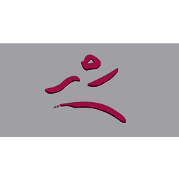 IRS-Institut für ganzheitliche Rehabilitation und SportphysiotherapieGmbH Logo