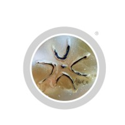 Reiki Meets Art Wiebke Gottschalk Logo