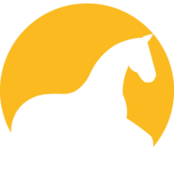 Reiten Im Dialog Logo
