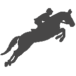 Reiter & Pferd Reitsport - Sattlerei Hendrik Herrmann Logo