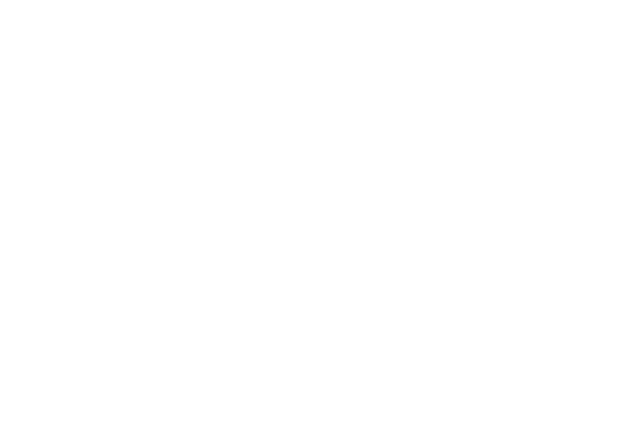 Poppe Hans-Hermann Logo
