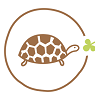 Repterra Logo