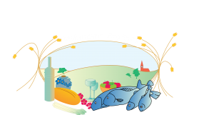 Brodocz vegetarisch Logo