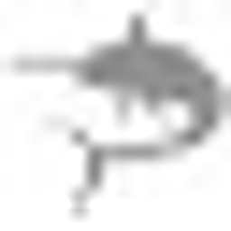 Fischclub Blankenese Inh. Rene Schillag Logo