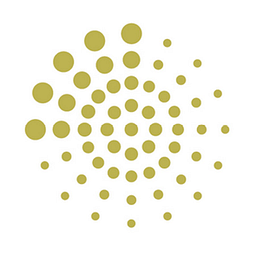 Rhein-Neckar-Akustik GmbH & Co. KG Logo
