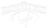 Rialtofilm Logo
