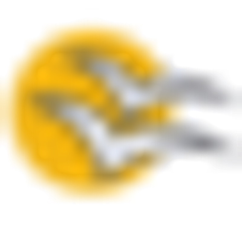 Rikis Wohnmobile Und Wohnwagen Logo