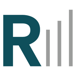RISE PARTNERS Audit GmbH Wirtschaftsprüfungsgesellschaft Logo