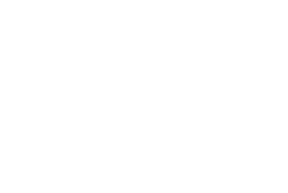 Ritter-Apotheke Logo