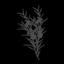 https://www.rooibostee.shop/de/ Logo