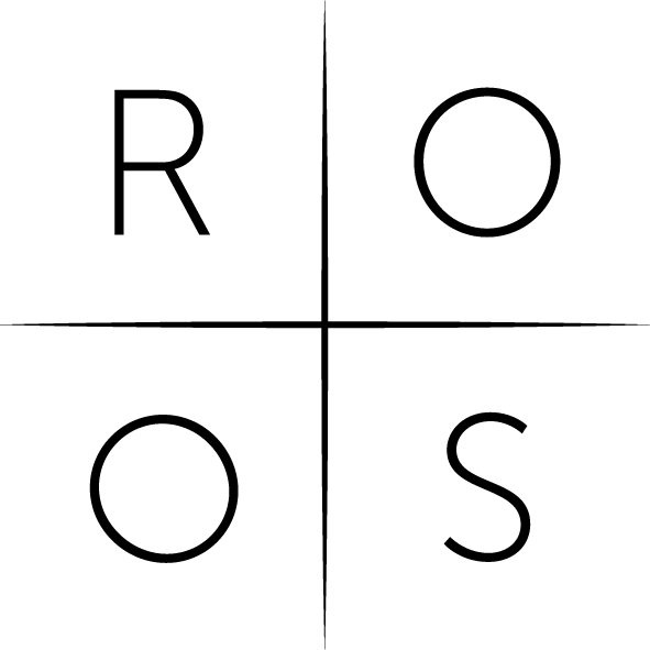 Roos Consult GmbH & Co. KG Logo