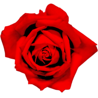 Restaurant Rosengarten UG Logo